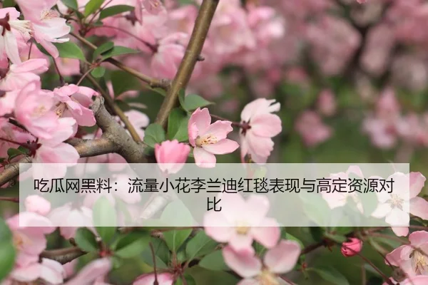 吃瓜网黑料：流量小花李兰迪红毯表现与高定资源对比